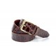 Brown croco